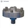 Diaphragm Seal I Secltion Type
