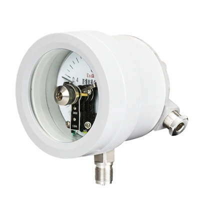 YX160B Explosion Proof Electric Contact Pressure Gauge